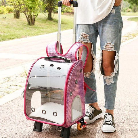 Transparent Breathable Pet Carrier