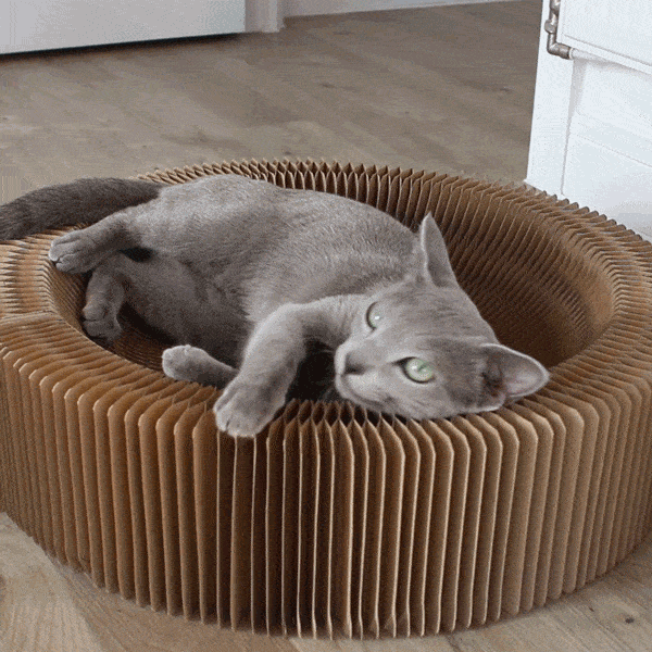 A Scratcher And A Lounge For Your Lovely Cat