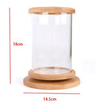 Mini Ecological Cylinder Bottle Fish Tank