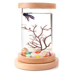 Mini Ecological Cylinder Bottle Fish Tank