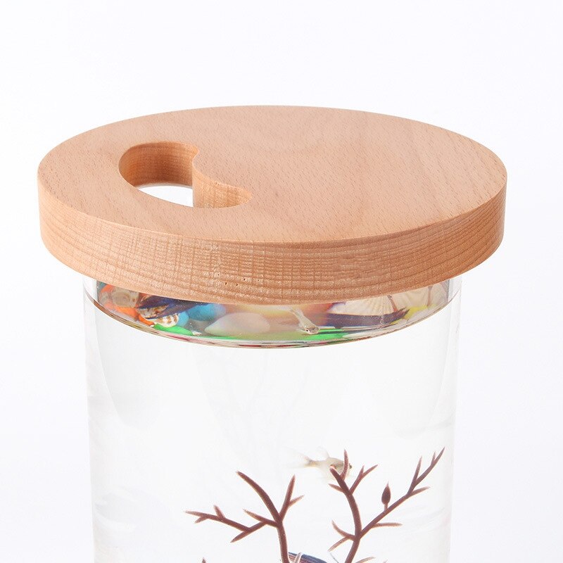 Mini Ecological Cylinder Bottle Fish Tank