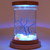 Mini Ecological Cylinder Bottle Fish Tank
