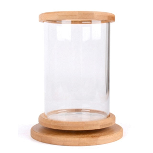 Mini Ecological Cylinder Bottle Fish Tank