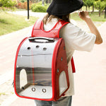 Transparent Breathable Pet Carrier