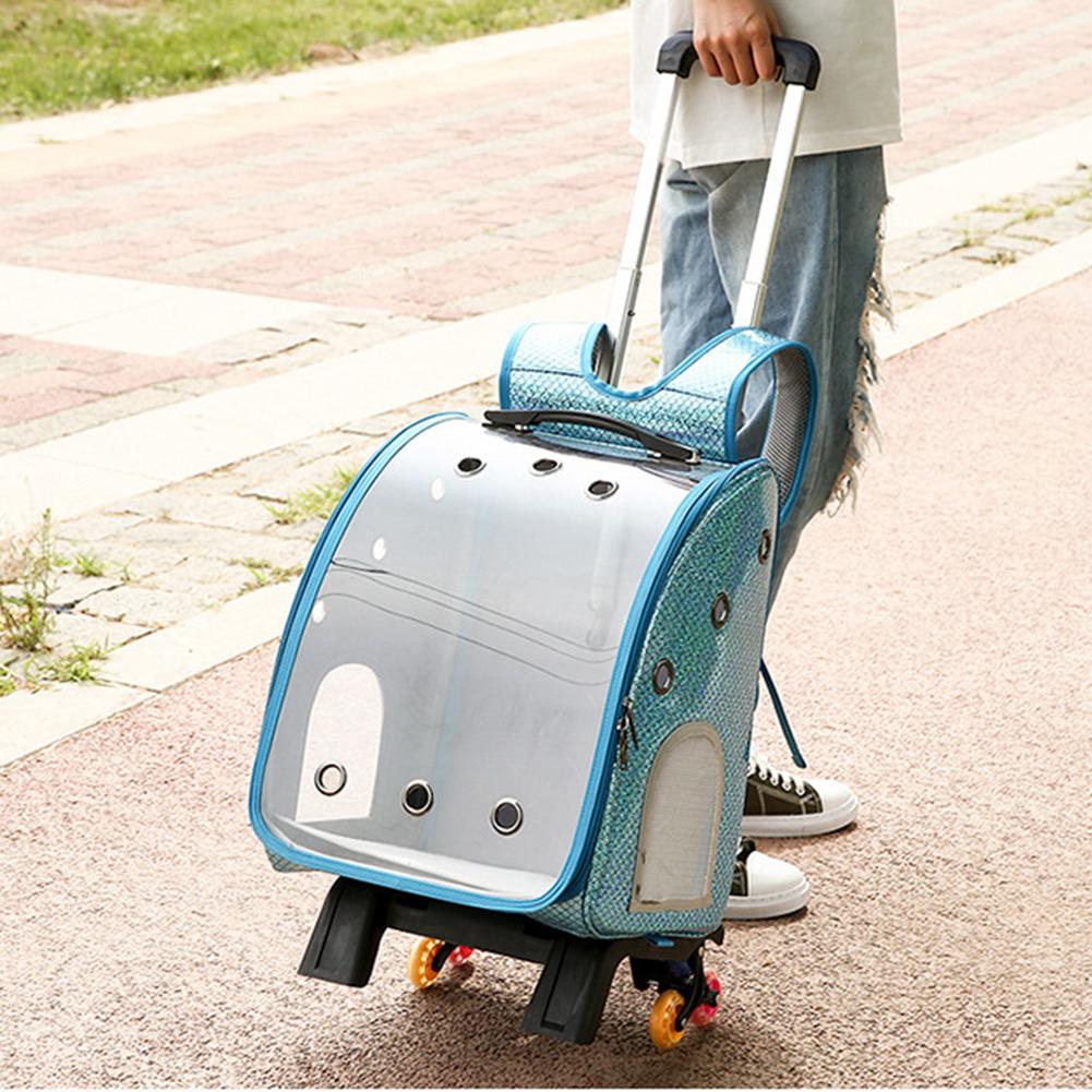 Transparent Breathable Pet Carrier