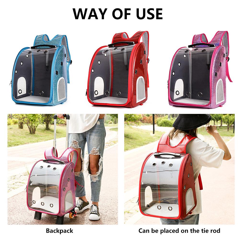 Transparent Breathable Pet Carrier