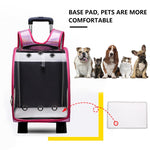 Transparent Breathable Pet Carrier