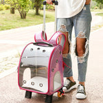 Transparent Breathable Pet Carrier