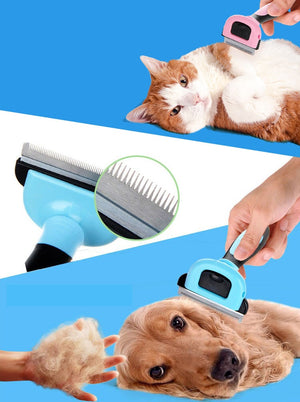 Hair Remover & Grooming