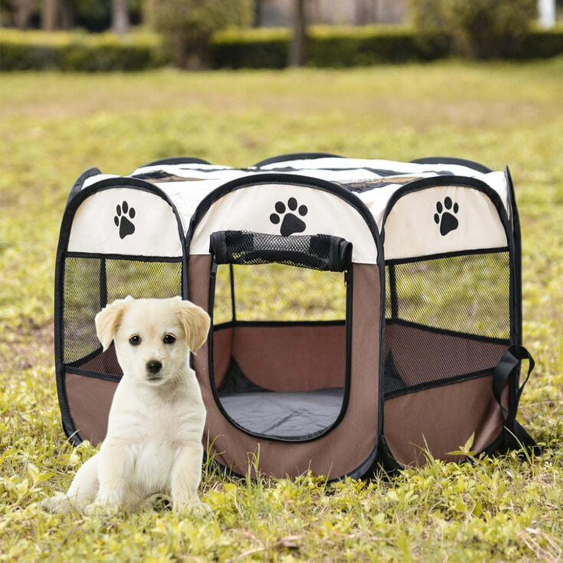 Self Folding Pet Tent