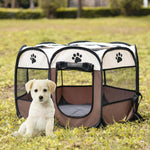 Self Folding Pet Tent