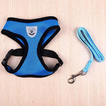 Pet Adventure Harness Leash