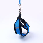 Pet Adventure Harness Leash