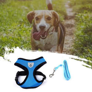 Pet Adventure Harness Leash