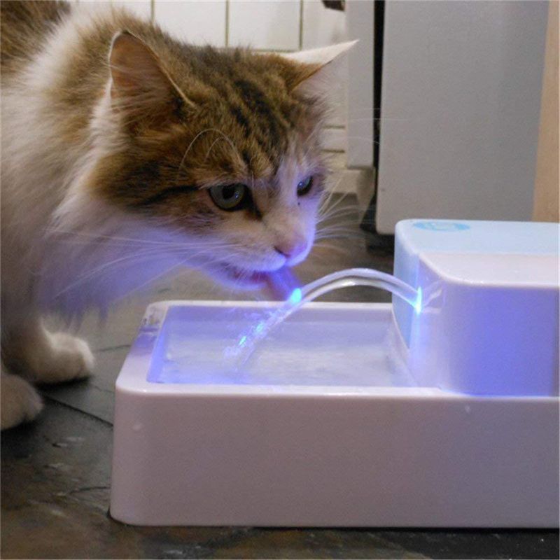 Pet Drinking Fountain For Freshest Water!