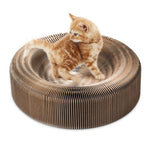 A Scratcher And A Lounge For Your Lovely Cat