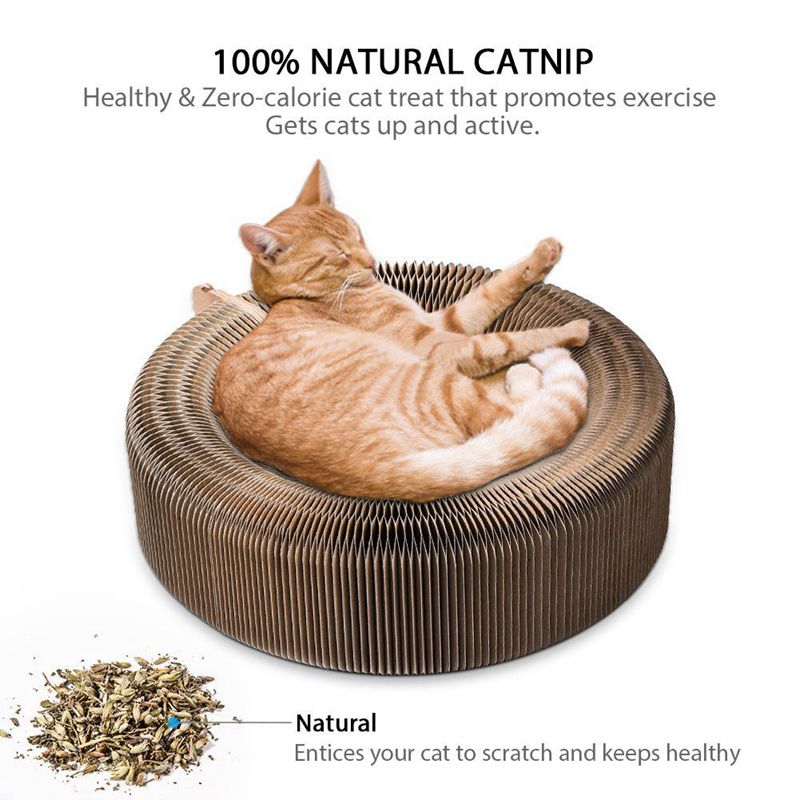 A Scratcher And A Lounge For Your Lovely Cat